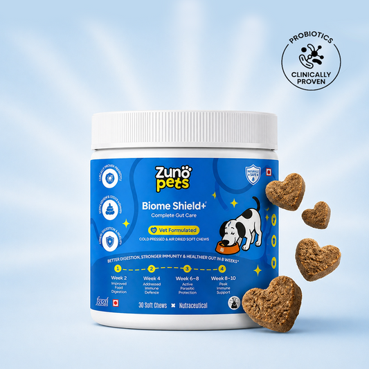 Anti-Hairfall & Skin-Coat Repair Supplement for Dogs