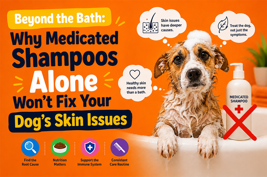 Beyond the Bath: Why Medicated Shampoos Alone Won’t Fix Your Dog’s Skin Issues