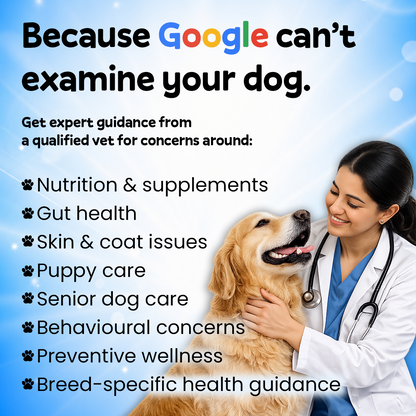 Online Vet Consultation