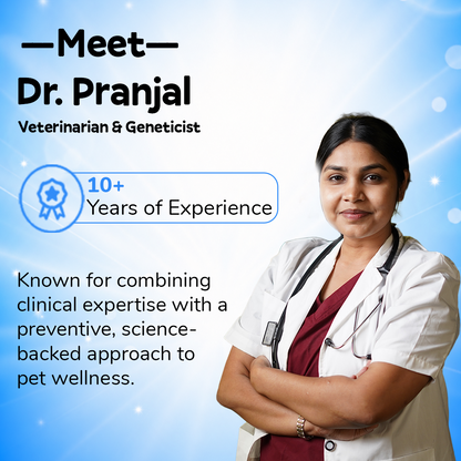 Online Vet Consultation
