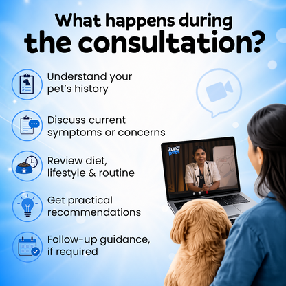 Online Vet Consultation
