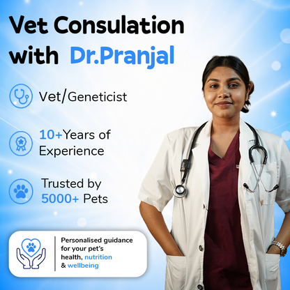 Online Vet Consultation
