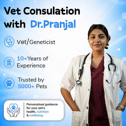 Online Vet Consultation