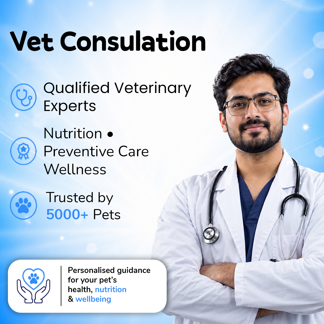 Online Vet Consultation
