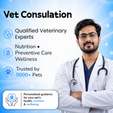 Online Vet Consultation
