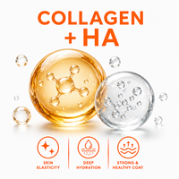 Collagen + HA