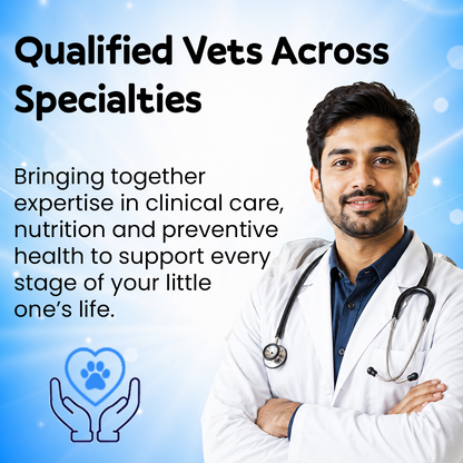Online Vet Consultation