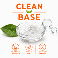 Clean Base