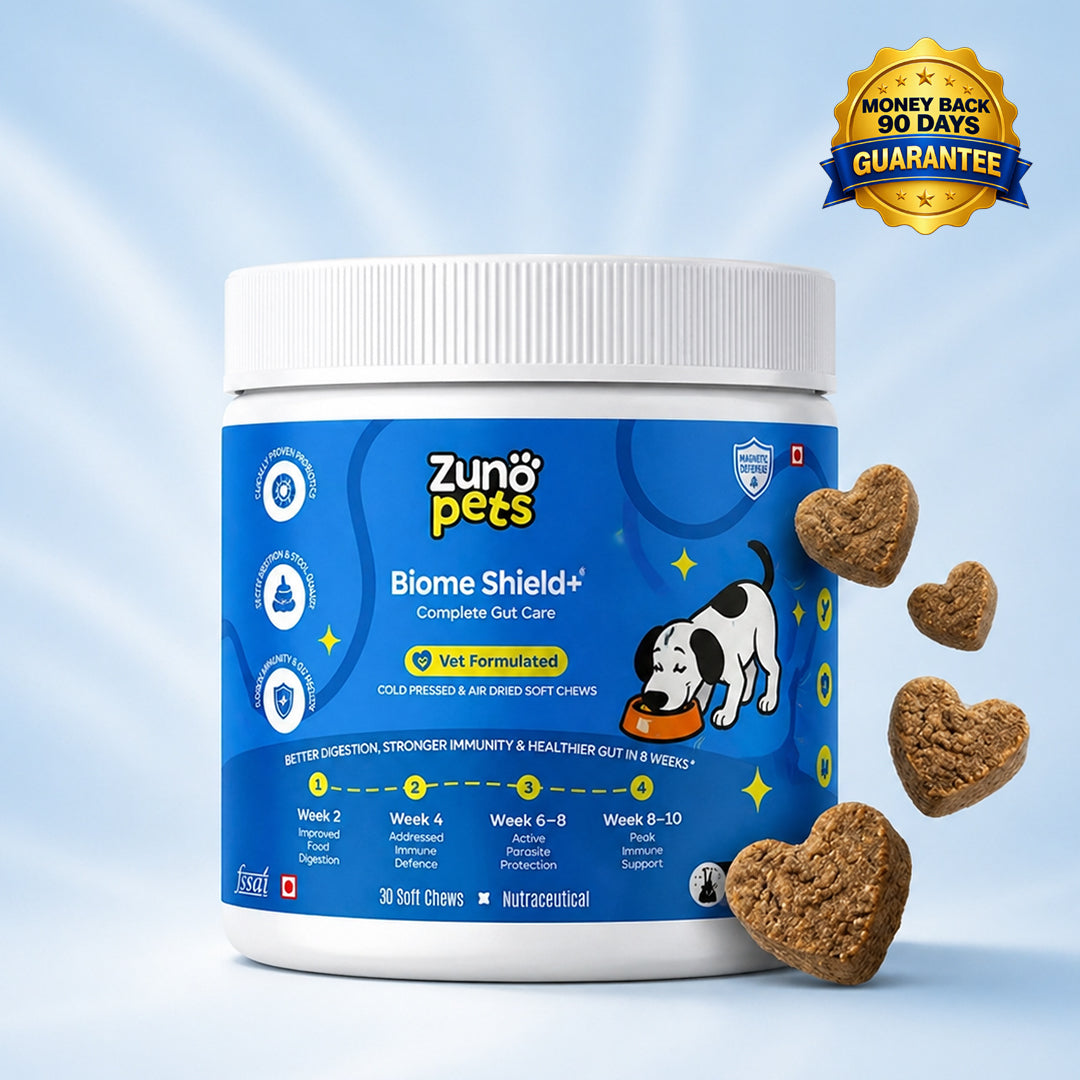 Advanced Canine Gut Cleanser & Probiotic for Digestive Repair