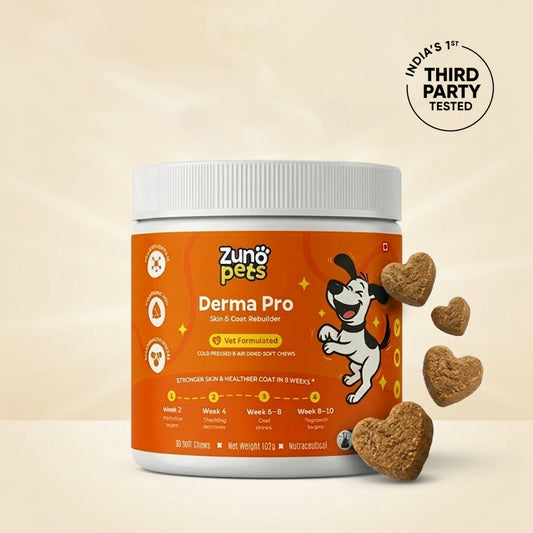 Anti-Hairfall & Skin-Coat Repair Supplement for Dogs