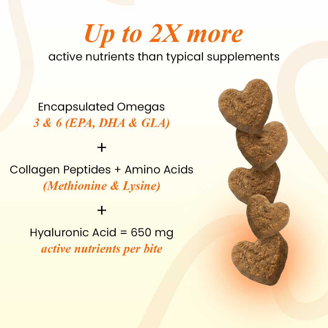 Derma Pro: Anti-Hairfall & Skin-Coat Repair Supplement for Dogs