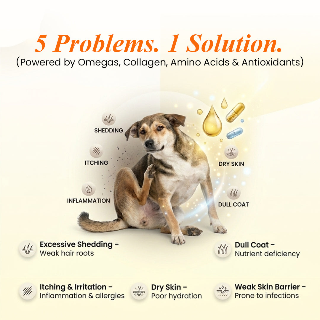 Derma Pro: Anti-Hairfall & Skin-Coat Repair Supplement for Dogs
