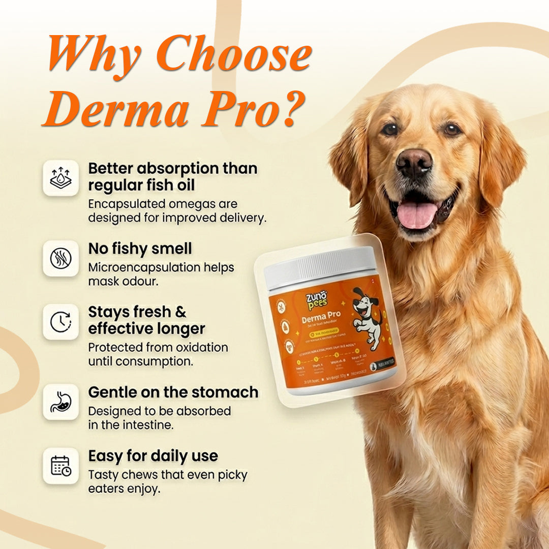 Derma Pro: Anti-Hairfall & Skin-Coat Repair Supplement for Dogs