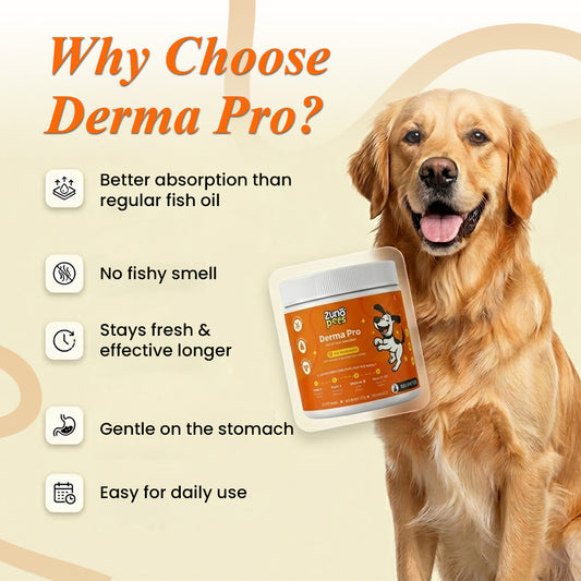 Anti-Hairfall & Skin-Coat Repair Supplement for Dogs