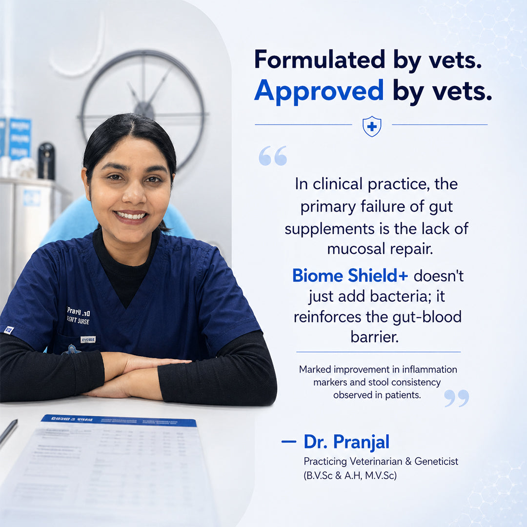 Advanced Canine Gut Cleanser & Probiotic for Digestive Repair