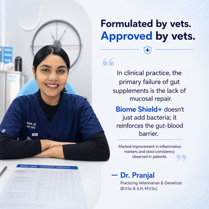 Advanced Canine Gut Cleanser & Probiotic for Digestive Repair