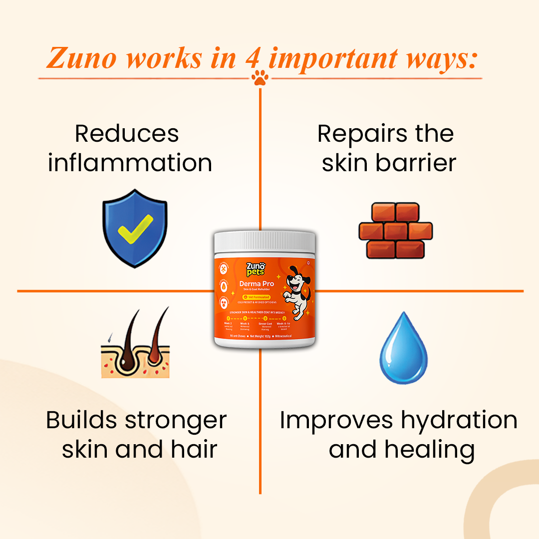 Anti-Hairfall & Skin-Coat Repair Supplement for Dogs